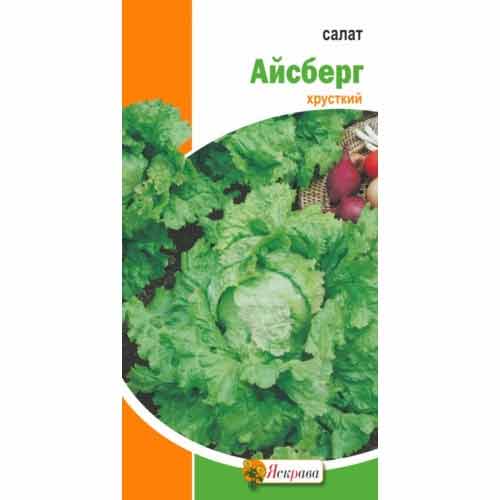 Салат Айсберг хрусткий Яскрава зображення 1 артикул 99989