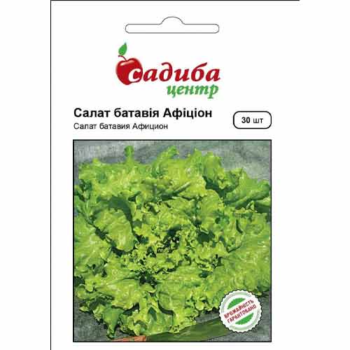 Салат кочанный Батавия Садыба центр рисунок 1 артикул 89669