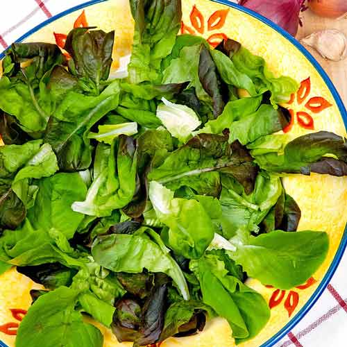 Салат Бейби Ливз цветной, смесь семян рисунок 2 артикул 65353