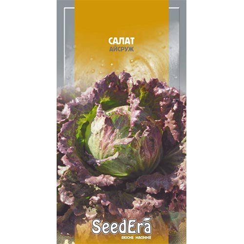 Салат кочанный Айсруж Seedera рисунок 1 артикул 95024