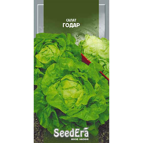 Салат качанний Годар Seedera артикул фото 1 Салат качанний Годар Seedera зображення 1 артикул 90196