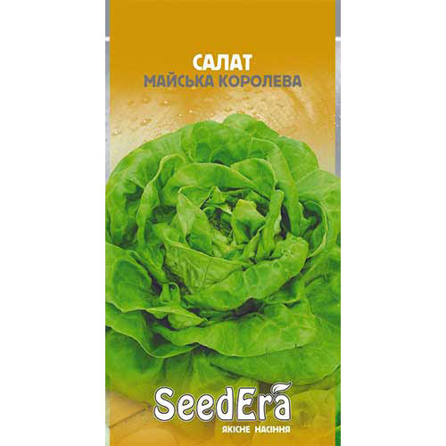 Салат качанний Травнева Королева Seedera зображення 1 артикул 90200