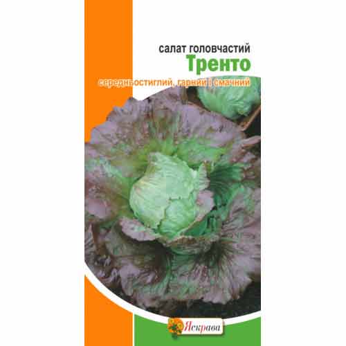 Салат кочанный Тренто красный Яскрава рисунок 1 артикул 77300