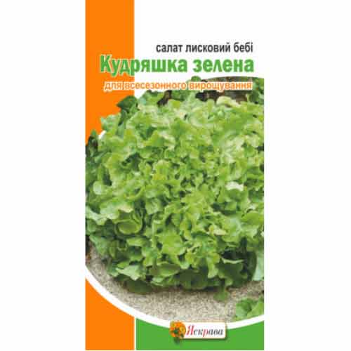 Салат листовой Бэби Кудряшка зеленая Яскрава артикул фото 1 Салат листовой Бэби Кудряшка зеленая Яскрава рисунок 1 артикул 90515