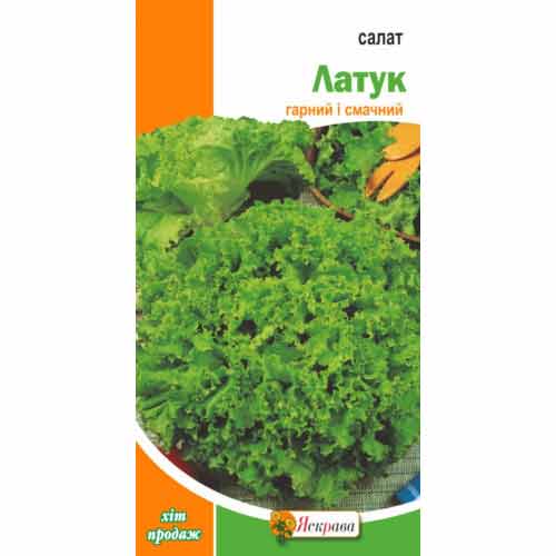 Салат листовой Латук рисунок 1 артикул 77305