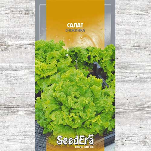 Салат листовий Сніжинка артикул фото 1 Салат листовий Сніжинка зображення 1 артикул 90201