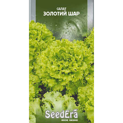 Салат листовой Золотой шар Seedera рисунок 1 артикул 77304