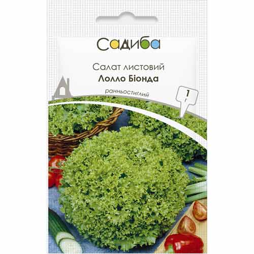Салат напівголовчастий Лолло Біонда Садиба центр зображення 1 артикул 89670