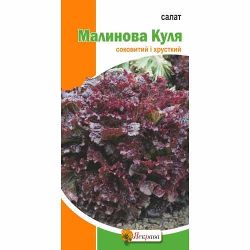 Салат листовий Малинова куля Яскрава зображення 1 артикул 90517