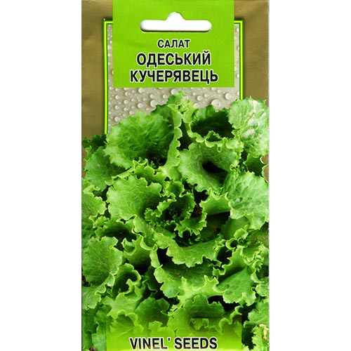 Салат листовой Одесский кучерявец Vinel seeds рисунок 1 артикул 95754