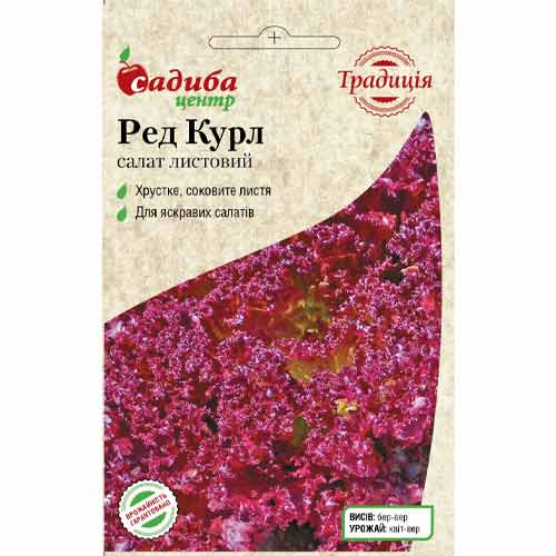 Салат Ред Курл Садиба центр рисунок 1 артикул 87717