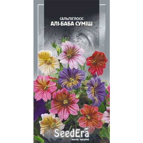 Сальпіглосіс Алі-Баба, суміш забарвлень Seedera зображення 1 артикул 89994