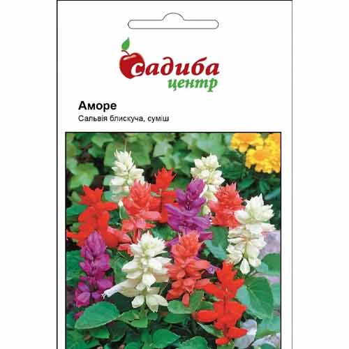 Сальвія Аморе, суміш забарвлень зображення 1 артикул 72901