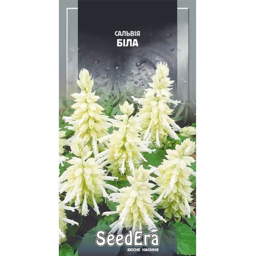 Сальвия блестящая белая Seedera рисунок 1 артикул 89988