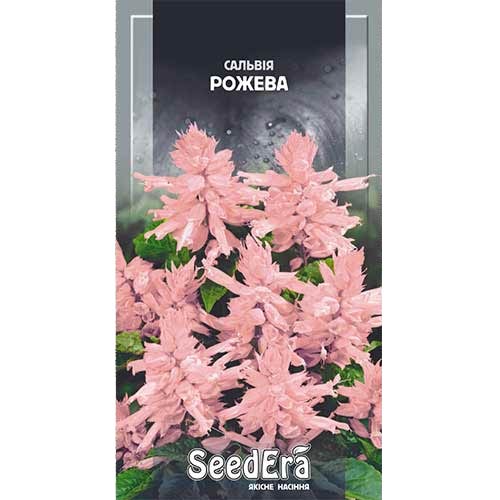 Сальвія блискуча рожева Seedera зображення 1 артикул 89990
