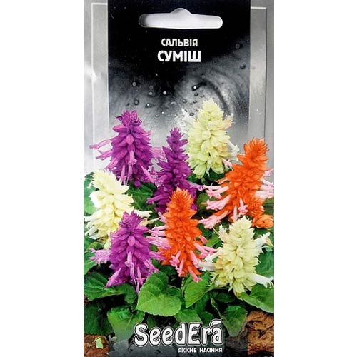 Сальвія блискуча, суміш забарвлень Seedera зображення 1 артикул 89991