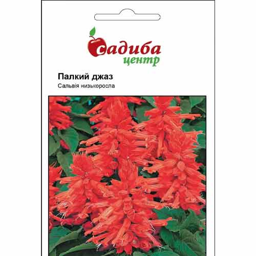 Сальвія Палкий джаз Садиба центр зображення 1 артикул 77102