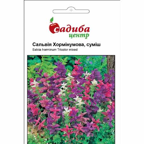 Сальвия Хорминумовая, смесь окрасок Садыба центр артикул фото 1 Сальвия Хорминумовая, смесь окрасок Садыба центр рисунок 1 артикул 89686