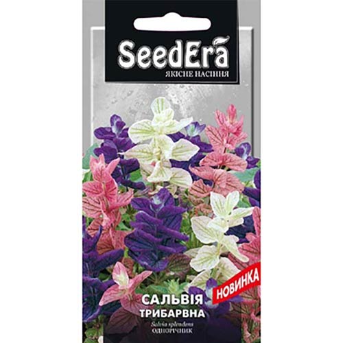 Сальвія трибарвна, суміш забарвлень Seedera зображення 1 артикул 89993