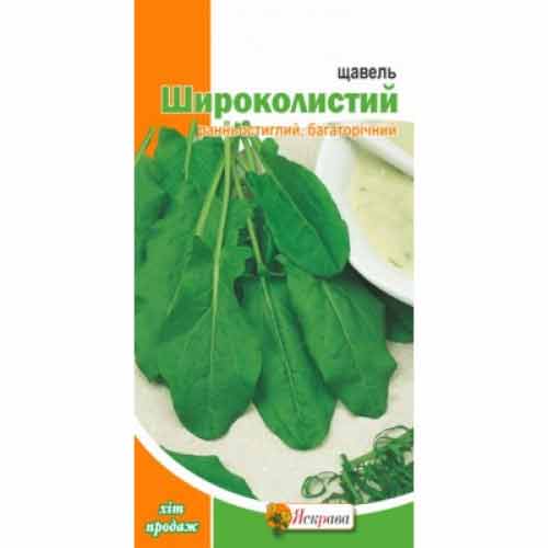 Щавель Широколистковий Яскрава зображення 1 артикул 87547