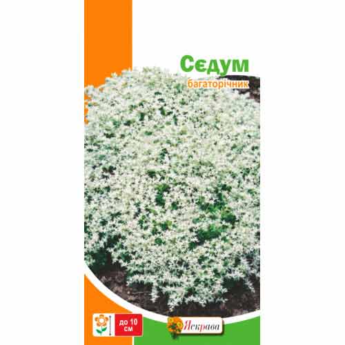 Седум артикул фото 1 Седум рисунок 1 артикул 72541