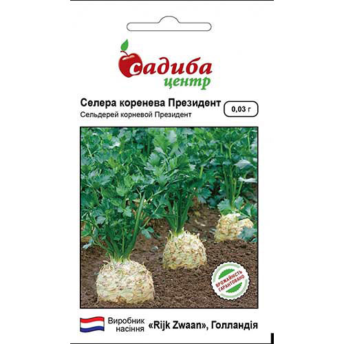 Сельдерей корневой Президент Садыба центр рисунок 1 артикул 89688