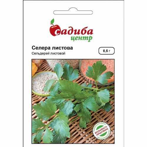 Сельдерей листовой Садыба центр рисунок 1 артикул 89689