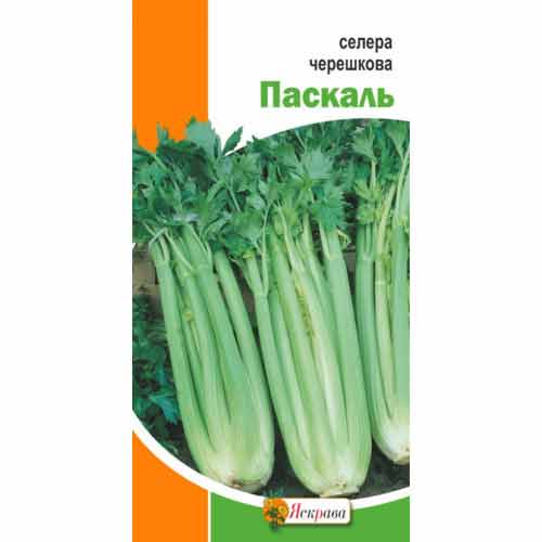 Сельдерей черешковый Паскаль Яскрава рисунок 1 артикул 87500