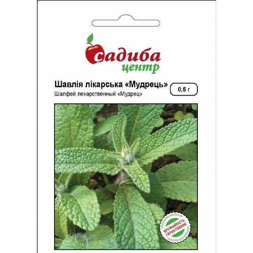 Шалфей лекарственный Мудрец Садыба центр артикул фото 1 Шалфей лекарственный Мудрец Садыба центр рисунок 1 артикул 89827