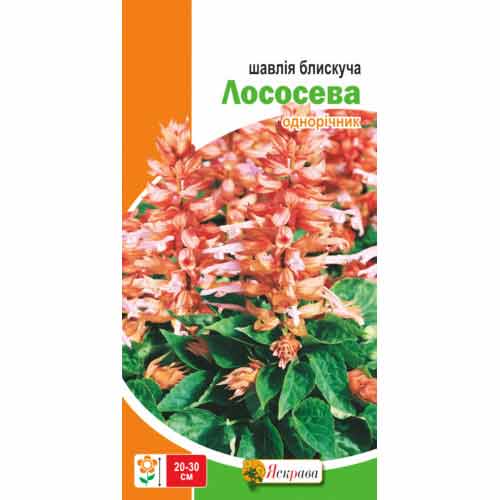Шавлія лососева Яскрава артикул фото 1 Шавлія лососева Яскрава зображення 1 артикул 77144