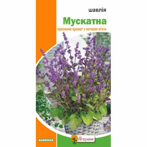 Шавлія Мускатна Яскрава зображення 1 артикул 87545