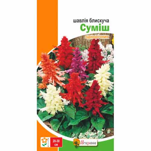 Сальвия, смесь окрасок Яскрава рисунок 1 артикул 77148