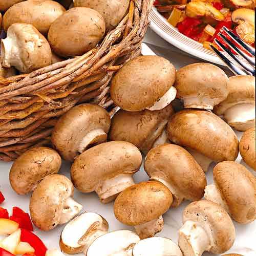 Шампиньоны королевские артикул фото 2 Шампиньоны королевские рисунок 2 артикул 9743