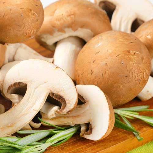 Печериці портобелло зображення 1 артикул 9754