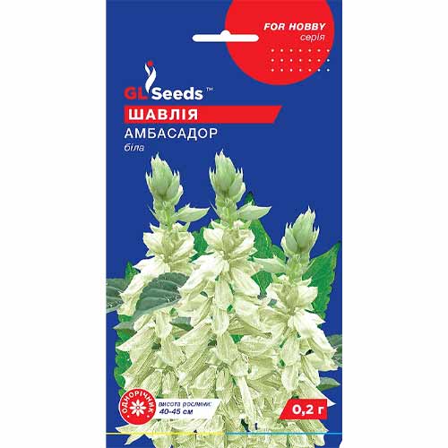 Шалфей Посол GL Seeds рисунок 1 артикул 85883