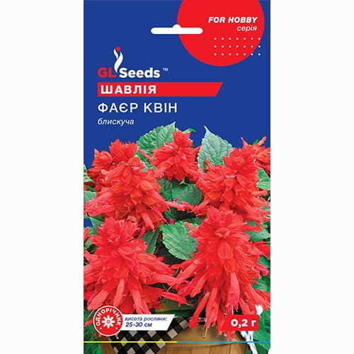 Сальвия Фаер Квин GL Seeds артикул фото 1 Сальвия Фаер Квин GL Seeds рисунок 1 артикул 99570