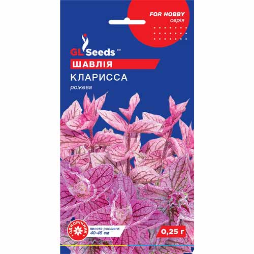 Шалфей Кларисса GL Seeds артикул фото 1 Шалфей Кларисса GL Seeds рисунок 1 артикул 85884