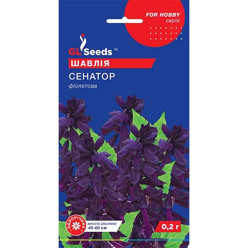Шалфей Сенатор GL Seeds рисунок 1 артикул 85885