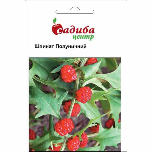 Шпинат Земляничный Садыба центр рисунок 1 артикул 89833