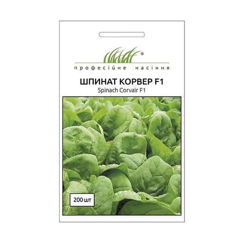Шпинат Корвер F1 Профессиональные семена рисунок 1 артикул 87622