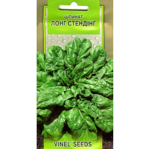 Шпинат Лонг Стендинг Vinel seeds рисунок 1 артикул 95821
