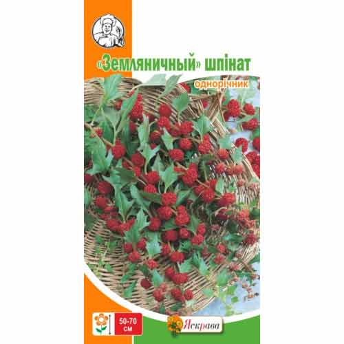 Шпинат Суничний артикул фото 1 Шпинат Суничний зображення 1 артикул 72560