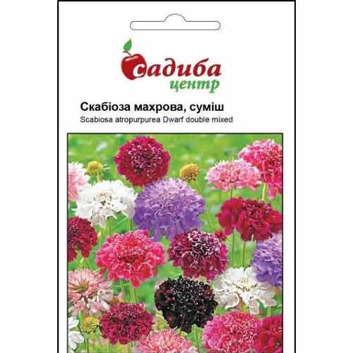 Скабиоза махровая, смесь окрасок Садыба центр рисунок 1 артикул 72779