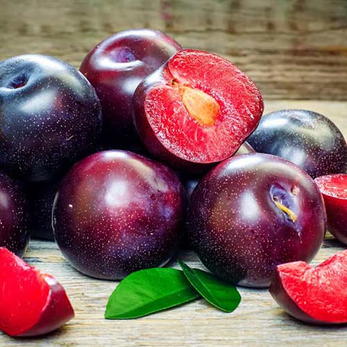 Слива Блэк Даймонд артикул фото 1 Слива Блэк Даймонд рисунок 1 артикул 7017