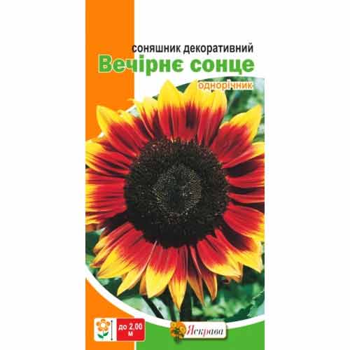 Соняшник декоративний Вечірнє сонце Яскрава зображення 1 артикул 99800