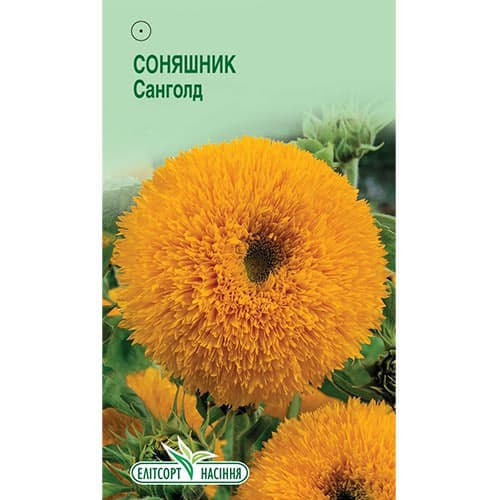 Соняшник Санголд Елітсорт зображення 1 артикул 95123