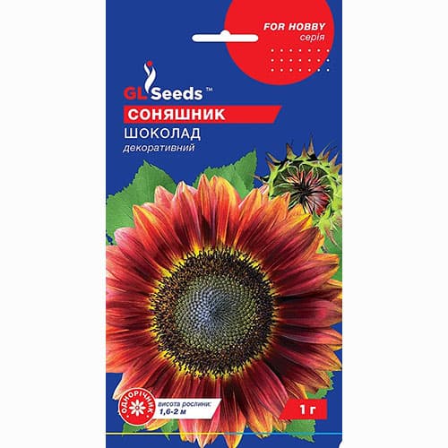 Соняшник Шоколад GL Seeds артикул фото 1 Соняшник Шоколад GL Seeds зображення 1 артикул 99537