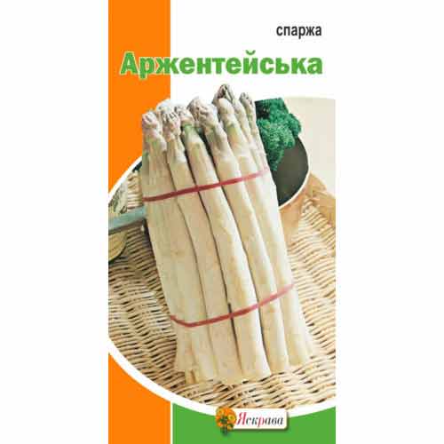Спаржа біла Аржентейська Яскрава зображення 1 артикул 87502