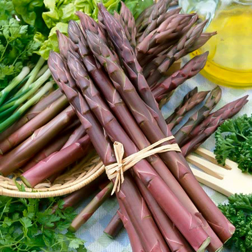 Спаржа фіолетова зображення 1 артикул 90518