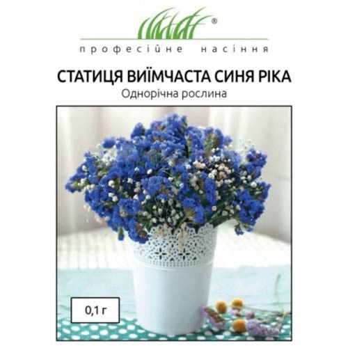 Статиця Блакитний обрій Професійне насіння артикул фото 1 Статиця Блакитний обрій Професійне насіння зображення 1 артикул 72552